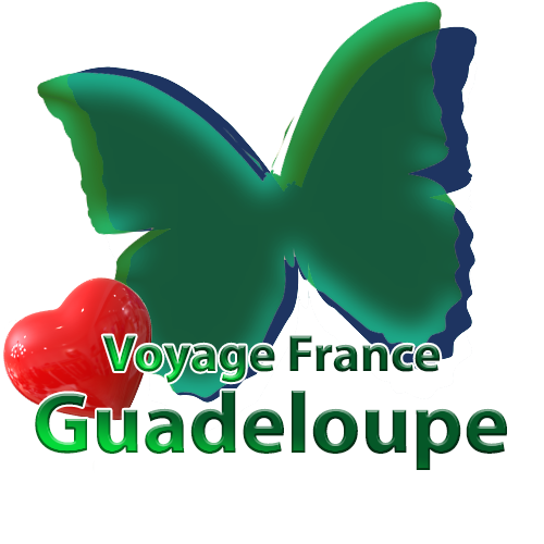 logo social