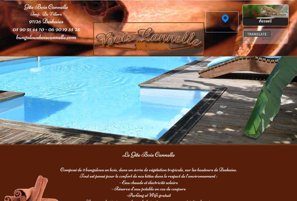 Capture bois cannelle