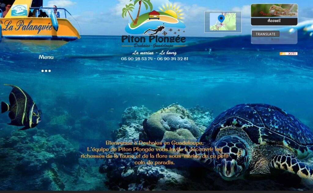 Capture piton plongee